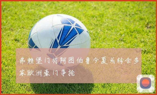 弗赖堡门将阿图伯鲁今夏或转会多家欧洲豪门争抢