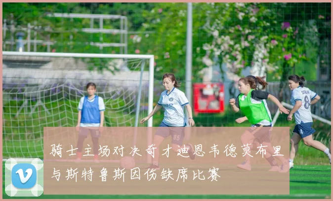 骑士主场对决奇才迪恩韦德莫布里与斯特鲁斯因伤缺席比赛